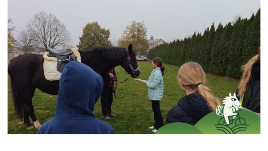 SVE in Slovenia: cavalli e ragazzi