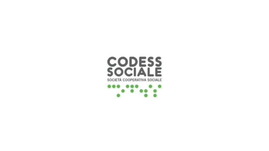 Logo Codess