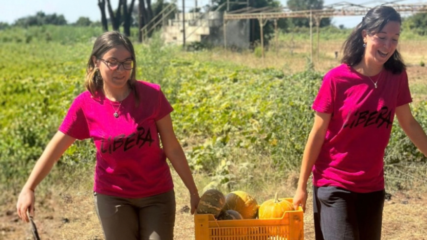 Due ragazze con magliette fucsia dell'associazione "Libera" trasportano una cassetta piena di zucche in un campo