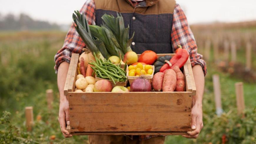 Un agricoltore in camicia a scacchi e gilet tiene in mano una cassetta di legno ricolma di ortaggi e frutta fresca in mezzo a un campo