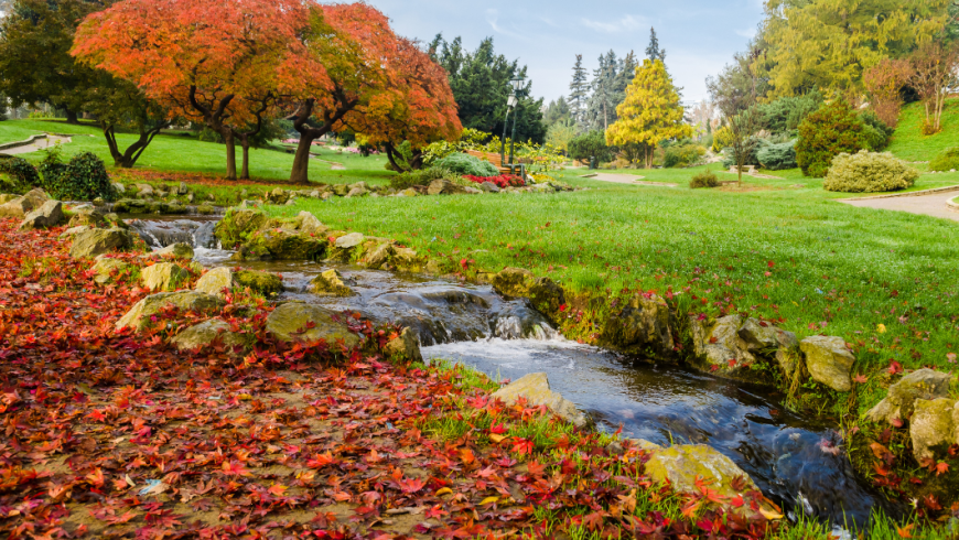 Foto del parco del Valentino con foglie rosse e ruscello