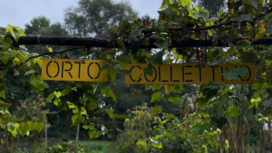 scritta orto collettivo appesa a un pergolato di uva