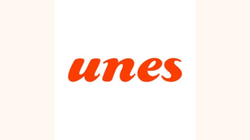 Logo Unes Supermercati