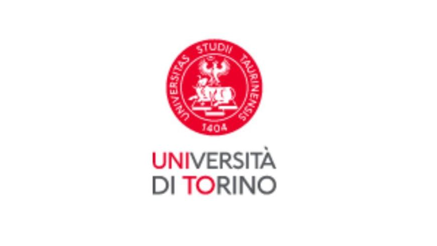 Logo Università degli Studi di Torino